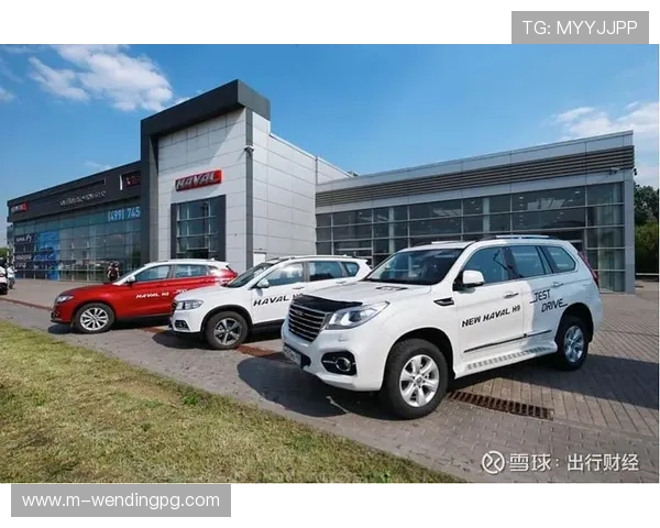 问鼎国际电脑版：助推企业全球化战略的高效执行利器