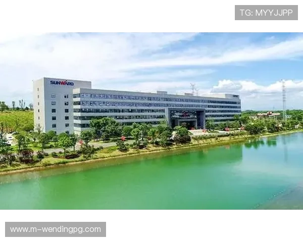 问鼎平台：为企业提供定制化解决方案的专业平台